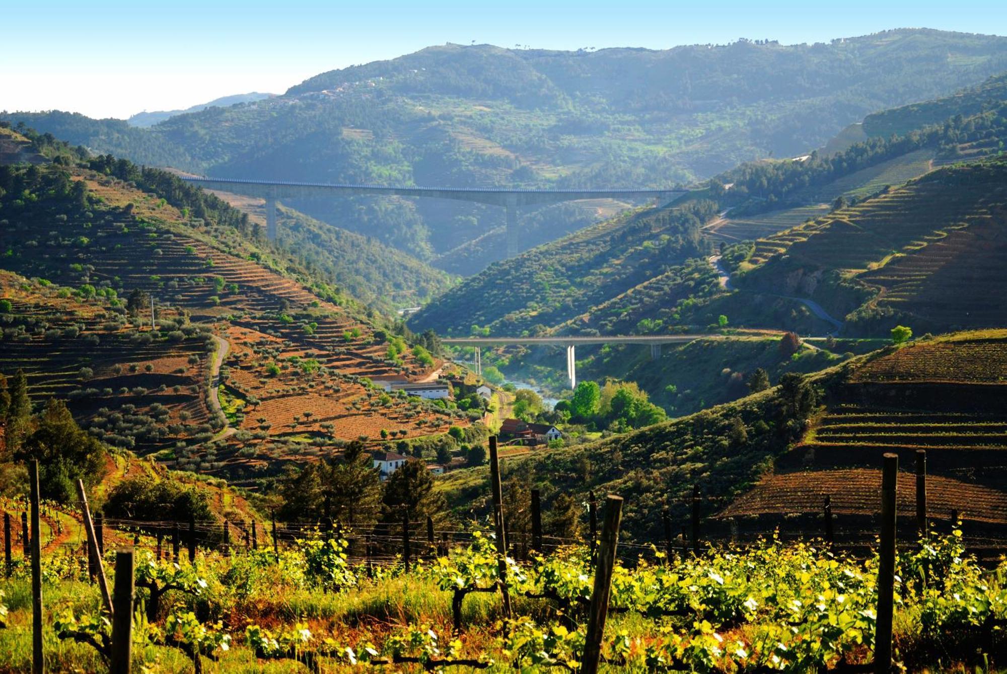 Casa Oliveiras Do Douro Villa Sobreira Ngoại thất bức ảnh