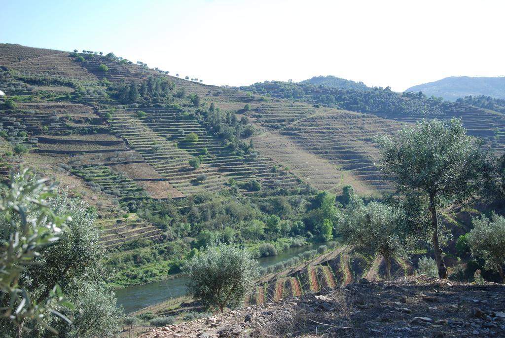 Casa Oliveiras Do Douro Villa Sobreira Ngoại thất bức ảnh