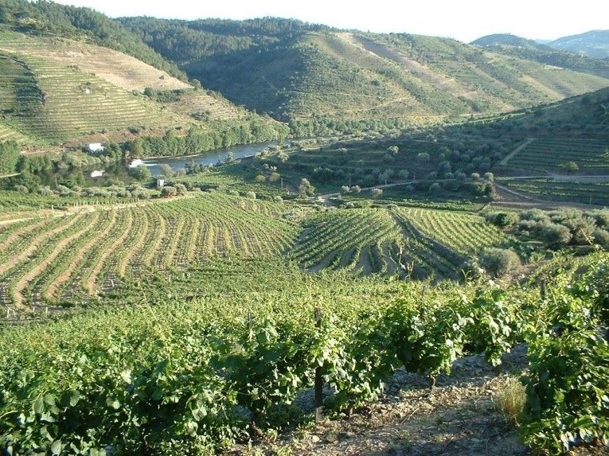 Casa Oliveiras Do Douro Villa Sobreira Ngoại thất bức ảnh