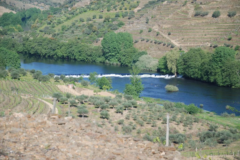 Casa Oliveiras Do Douro Villa Sobreira Ngoại thất bức ảnh